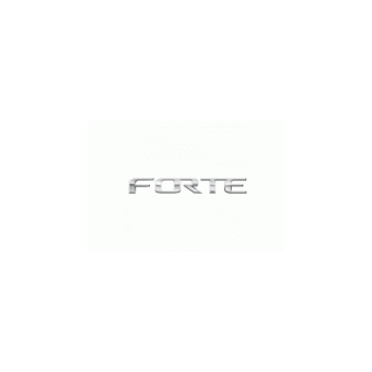 Гарантийный ремонт Forte