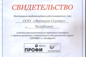 ПРОФИ, RILON, ПТК