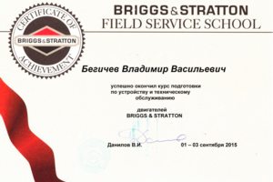 Briggs&Stratton