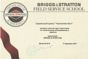 Briggs & Stratton