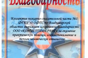 Благодарность1