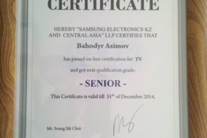 Сертификат участника по ремонту телевизоров