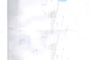 Выписка из реестра 4 страница