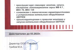 Гиффин