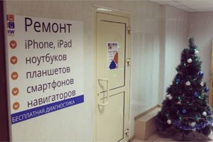 А вот и елка