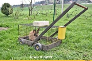 тюнинг газонокосилок))))