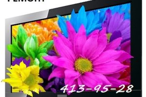 Ремонт плазменных телевизоров