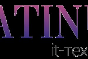 платинум ит услуги