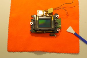 Влажная читска сенора в день обращения.