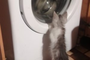 ремонт стиральных машин