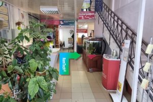 После аквариумов поворачиваем направо