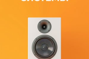 Ремонт акустических систем