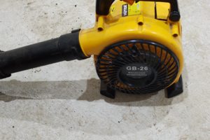 Ремонт воздуходувки